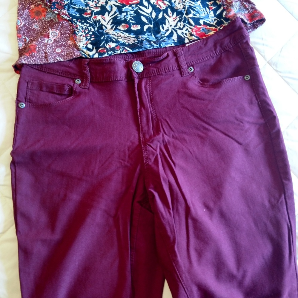 Sassy Cranberry Maroon Jeggings by Revolt